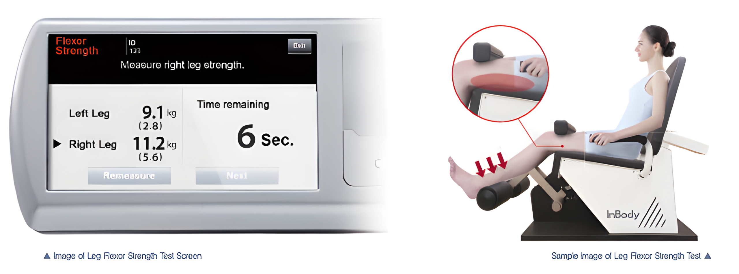 Leg Flexor Strength Test screen
